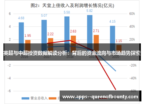 英超与中超投资数据解读分析：背后的资金流向与市场趋势探索