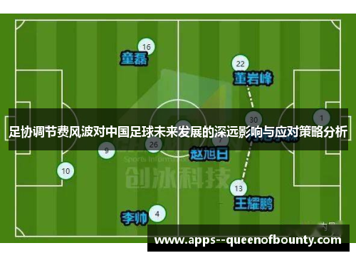 足协调节费风波对中国足球未来发展的深远影响与应对策略分析