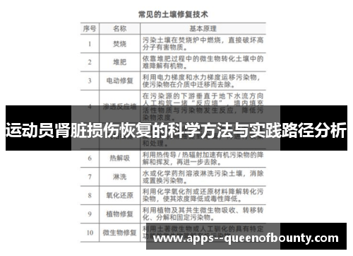 运动员肾脏损伤恢复的科学方法与实践路径分析